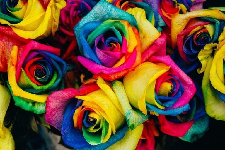 What Color Matches Your Personality 