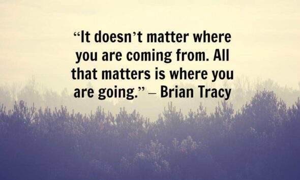 Brian Tracy Quotes