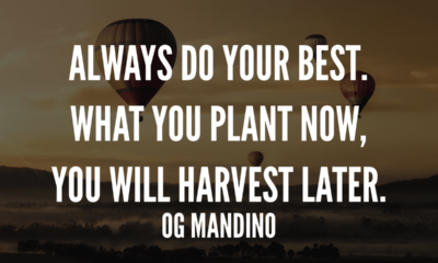 Og Mandino quotes