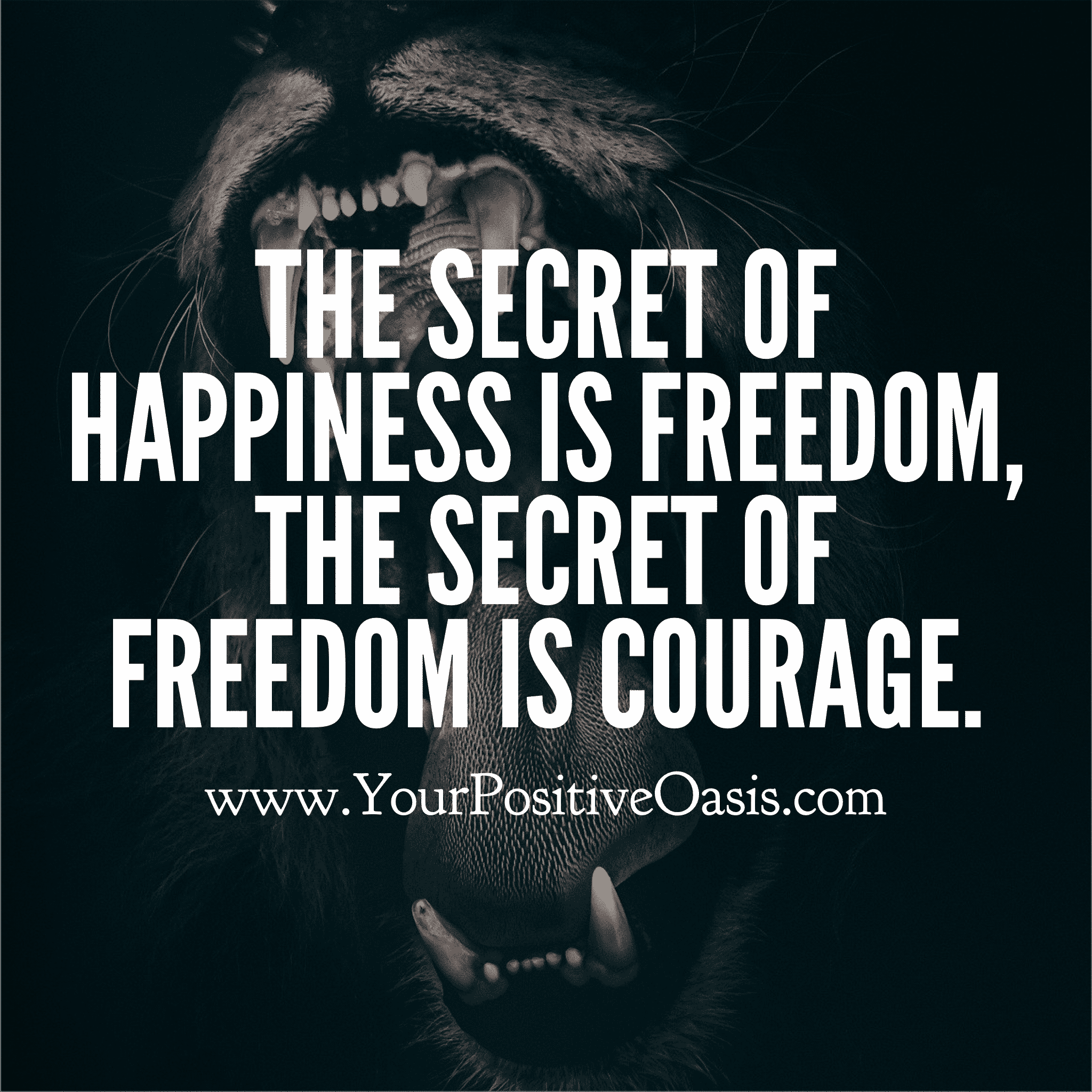 The secret of happiness is Freedom Quote