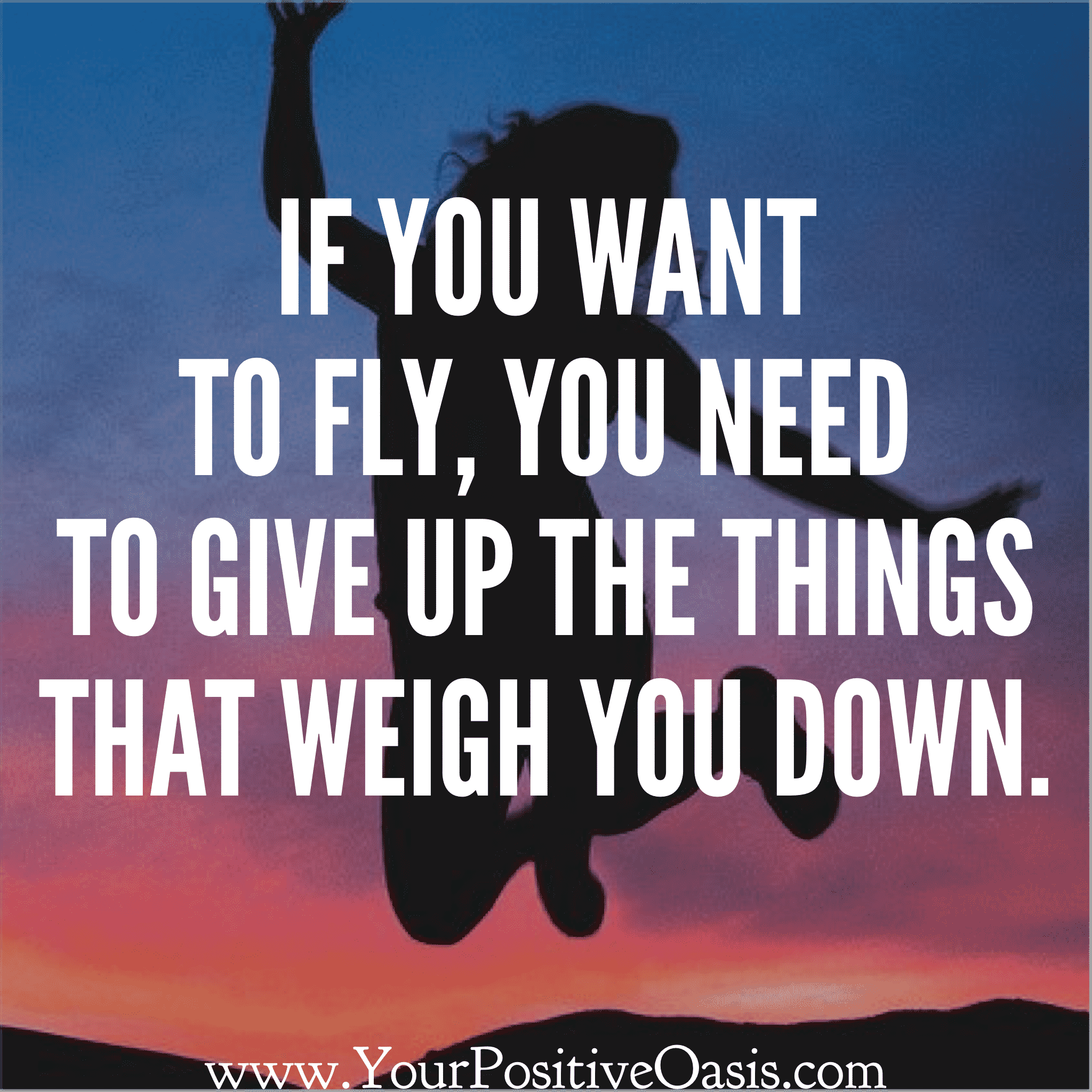 Learn To Fly Freedom Quote