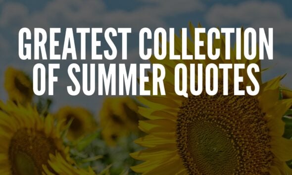 Summer Quotes