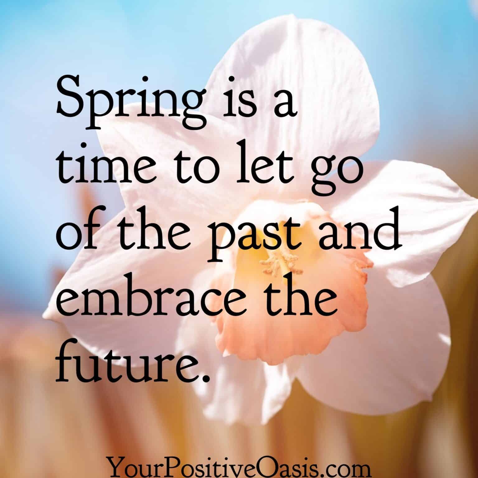 50 Spring Quotes That Will Brighten Your Day