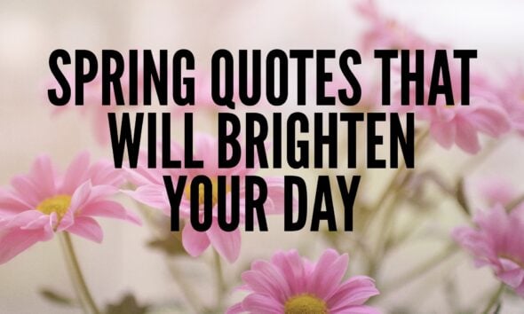 Quotes About Spring