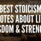 Best Stoicism Quotes