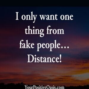 Fake People Quote