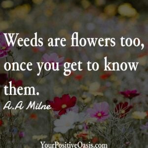 Winnie The Pooh Quote