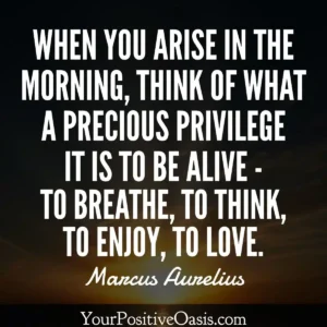 Marcus Aurelius Quote