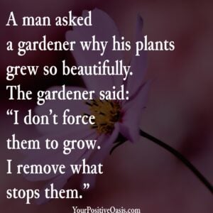 Flower Quote