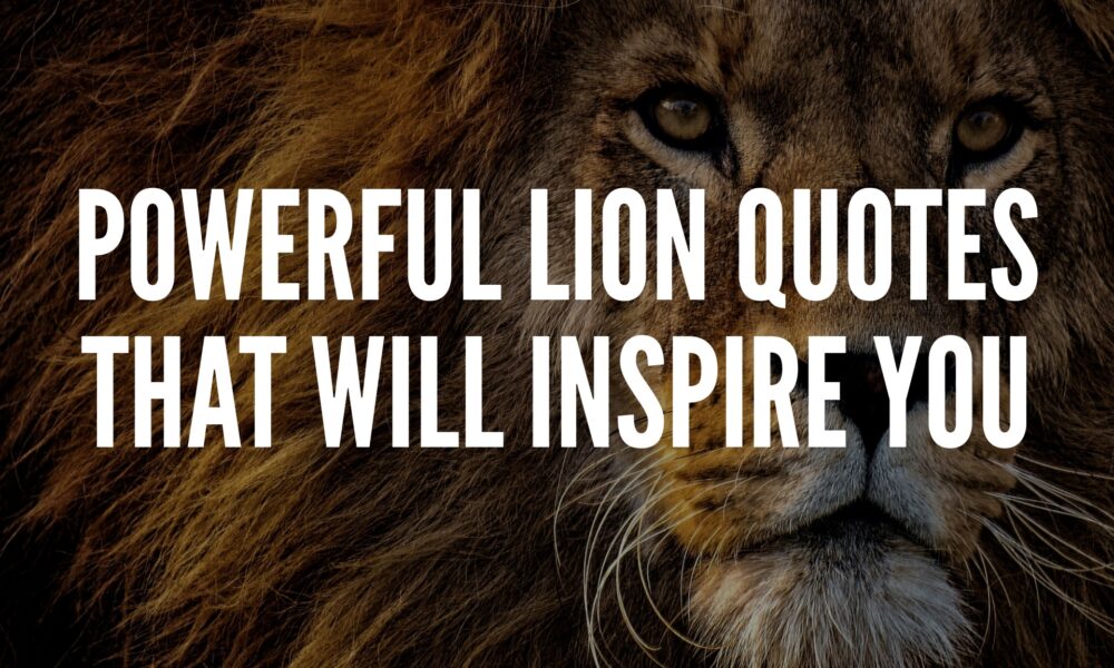 Lion Quotes