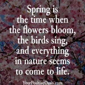 Spring Quote