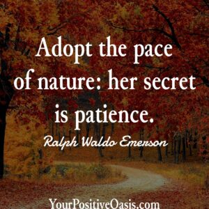 Patience Quote