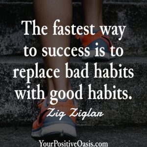 Zig Ziglar Quote