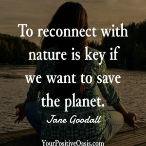 Jane Goodall Quote About Nature