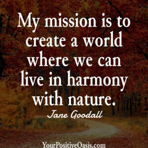 Jane Goodall Quote About Her Mission