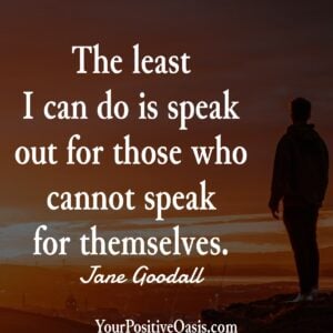 Jane Goodall Quotes
