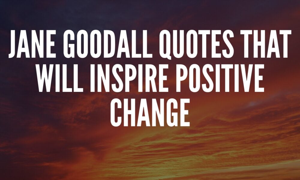 Jane Goodall Quotes