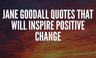 Jane Goodall Quotes