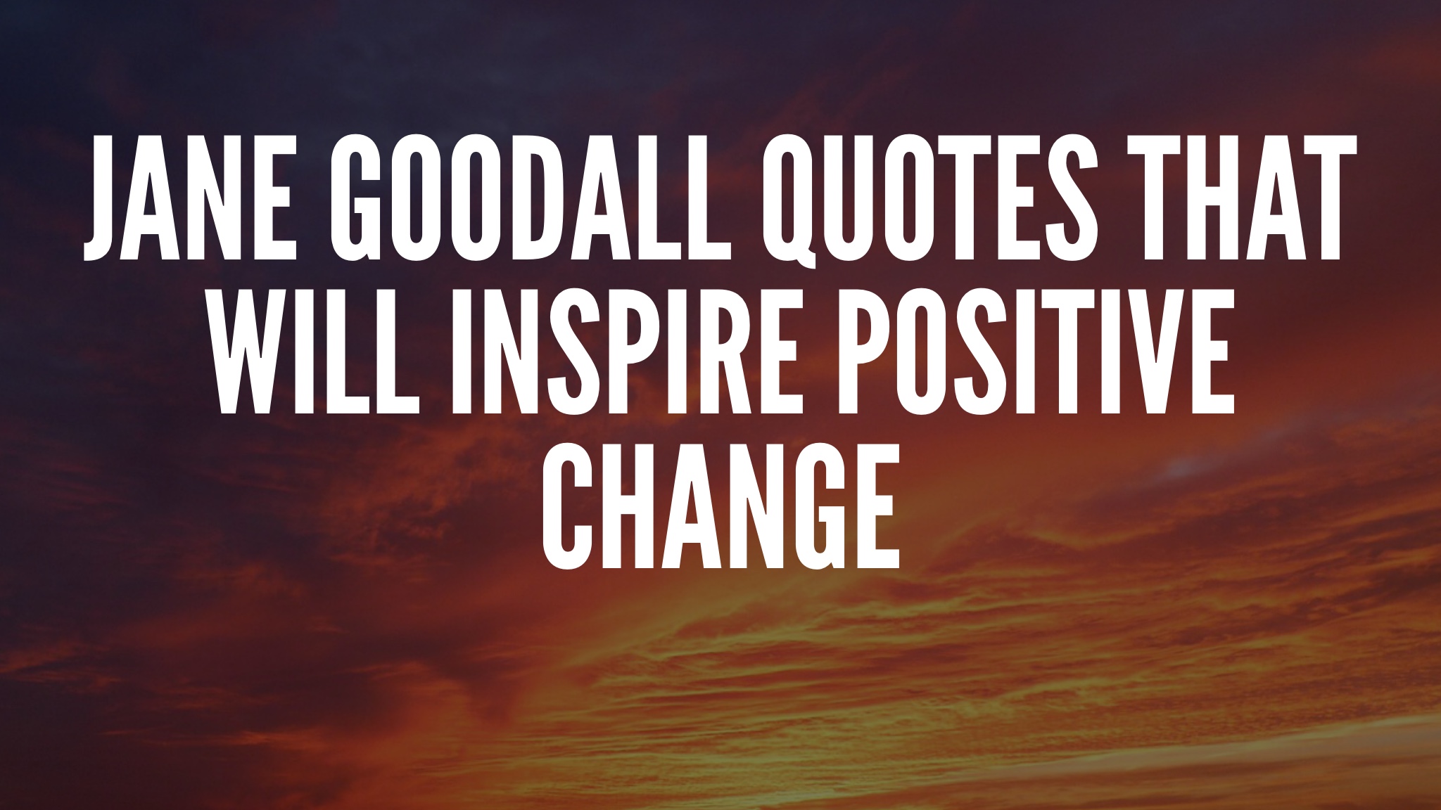 Jane Goodall Quotes