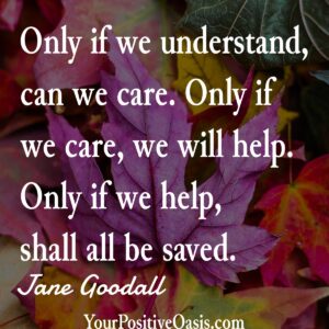 Jane Goodall Quote
