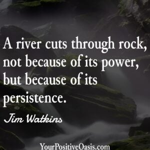 Persistence Quote