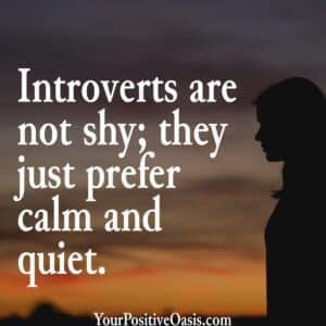 Quote About Introverts