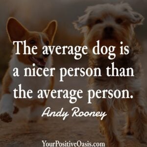 Dog Quote Dog Quote