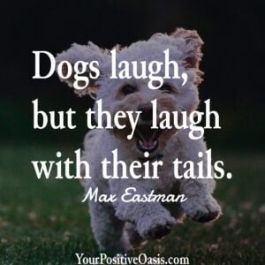 Dog Quote Dog Quote
