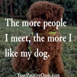 Dog Quotes Dog Quotes