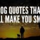 Dog Quotes