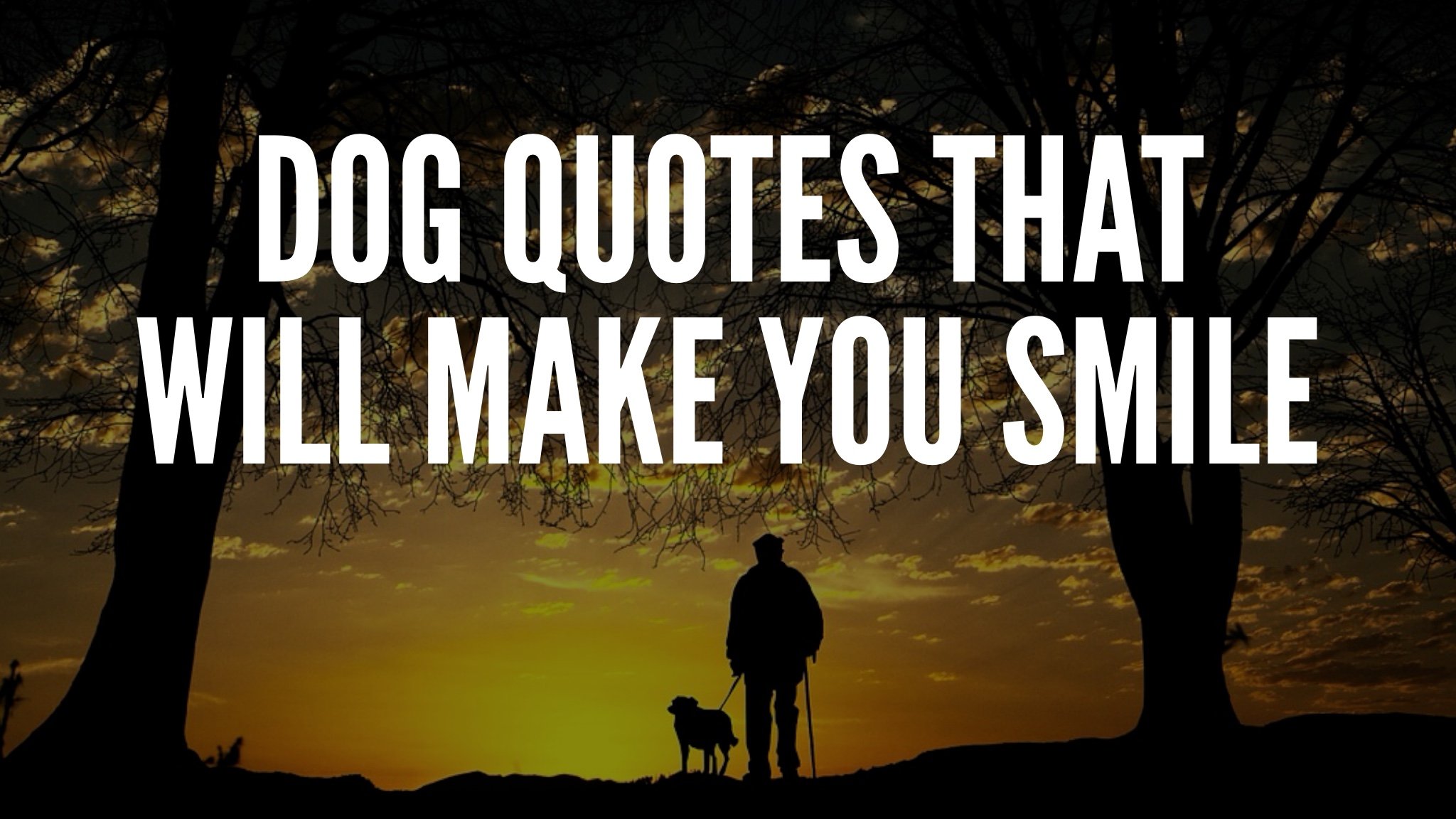 Dog Quotes