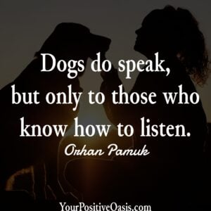 Dog Quote Dog Quote