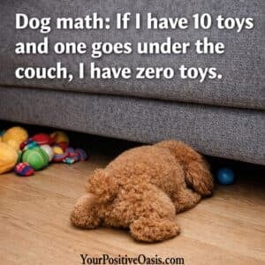 dog math quote