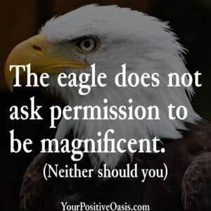 Quote About Eagles Quote About Eagles