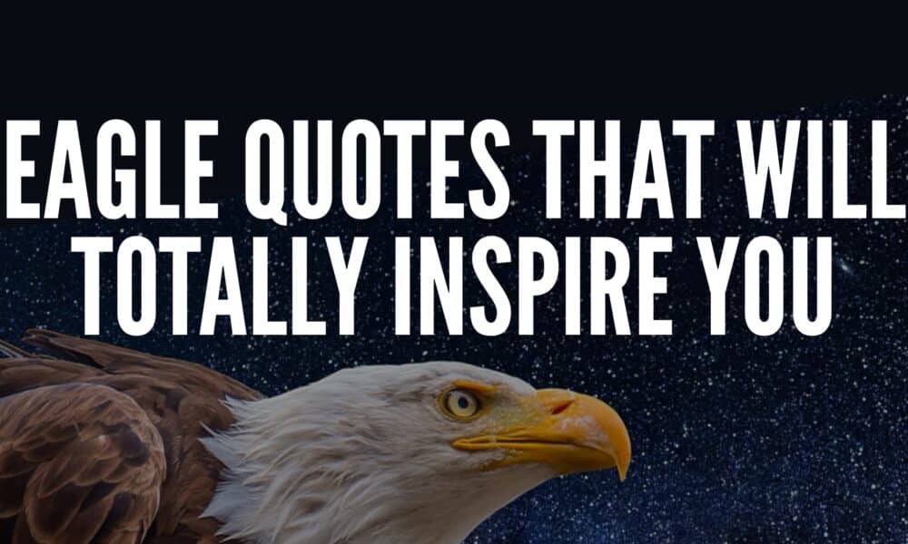 Eagle Quotes