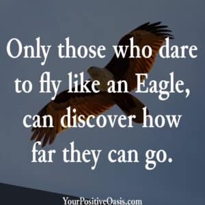 Motivational Eagle Quote Motivational Eagle Quote