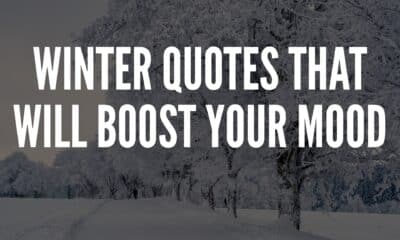 Winter Quotes