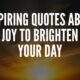Quotes About Joy