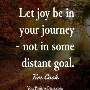 Tim Cook Quote About Joy In Your Journey