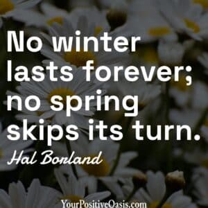 Positive Winter Quote