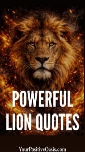 Powerful Lion Quotes