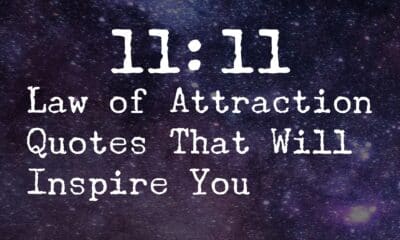 Law Of Attraction Quotes That Will Inspire You