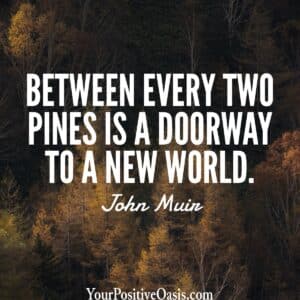 Between Every Two Pines John Muir Quote
