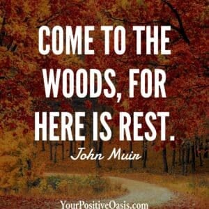 John Muir Quote