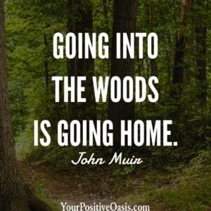 John Muir Quote About The Woods