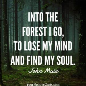 John Muir Quote About The Forest