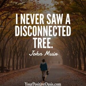 John Muir Quote About Trees