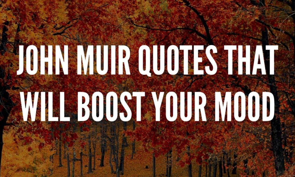 John Muir Quotes